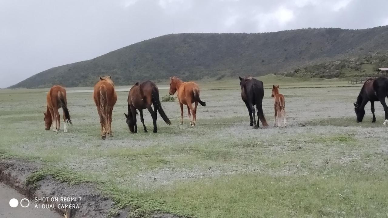 Hostal Killa Llullu Quito Exteriör bild